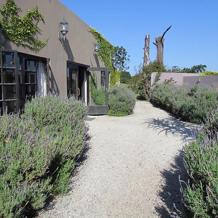 Plett River Lodge Plettenberg Bay Dış mekan fotoğraf