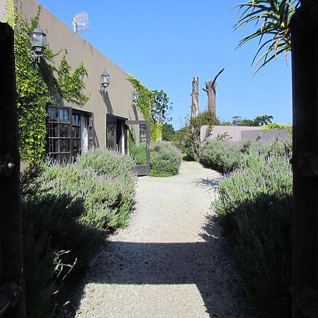 Plett River Lodge Plettenberg Bay Dış mekan fotoğraf