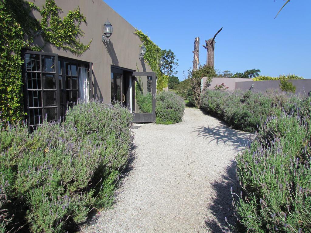 Plett River Lodge Plettenberg Bay Dış mekan fotoğraf